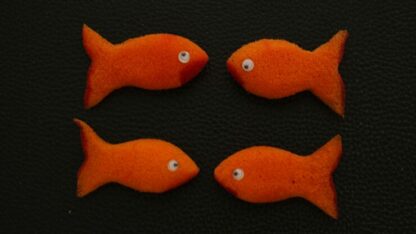 Sponge Emoji GOLDFISH (4PK.) by Andy Amyx- Trick - Image 2