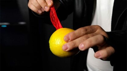 VANISHING HANDKERCHIEF  (Gimmicks and Instructions) by Apprentice Magic  - Trick - Image 3