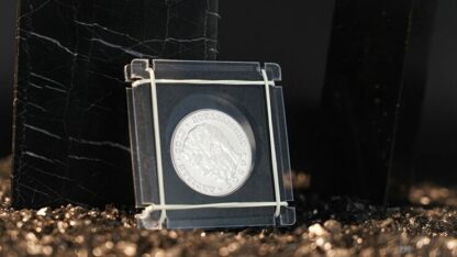 Coin Shackles by TCC - Image 2