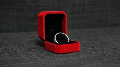 Neomagnetic Ring (19mm) by Leo Smetsers - Trick