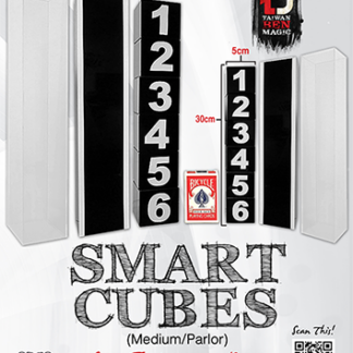 Smart Cubes (Medium / Parlor) by Taiwan Ben - Trick