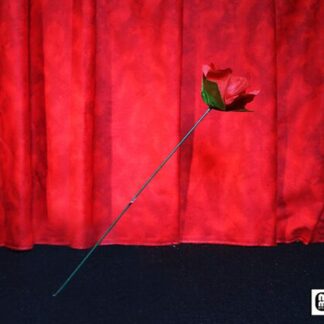 Torch to Rose by Mr. Magic - Trick
