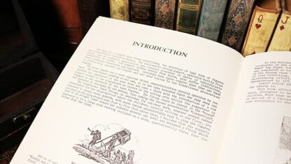 The Lilliputians by Will Ayling - Book - Image 3