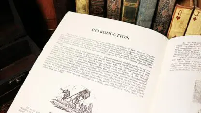 The Lilliputians by Will Ayling - Book - Image 3
