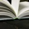 The Complete Walton (Vol. 3) by Roy Walton - Book - Image 3