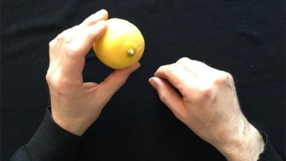 CITRUS: The Next Generation (C2 - Small) by Nourdine - Trick - Image 5