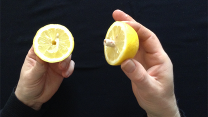 CITRUS: The Next Generation (C2 - Small) by Nourdine - Trick - Image 6