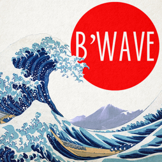 B'Wave DELUXE by Max Maven (Gimmicks and Online Instructions) - Trick