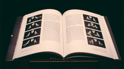 Coins and Other Fables by Luis Piedrahita - Book - Image 6