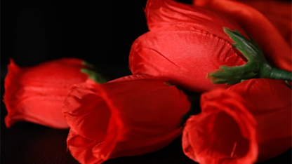 The Rose 2.0 (Red) by Bond Lee & Wenzi Magic - Trick - Image 2
