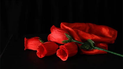 The Rose 2.0 (Red) by Bond Lee & Wenzi Magic - Trick - Image 3