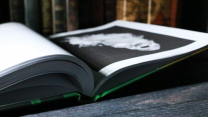 A State of Mind by Dennis Hermanzo - Book - Image 4