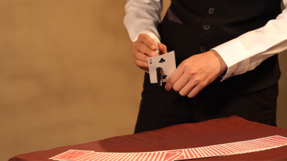 Sleeving System by Witness Kou & Amor Magic - Trick - Image 6