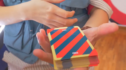 Broken Borders 2019 Playing Cards by The New Deck Order - Image 2