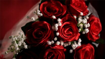 The Bouquet (Red) by Bond Lee & MS Magic- Trick - Image 3