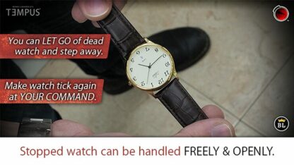 TEMPUS (Gimmick and Online Instructions) by Menny Lindenfeld - Trick - Image 4