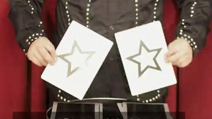Marked Jumbo ESP Cards (Black) by Tejinaya Magic - Trick - Image 3