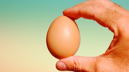 Fake Egg Brown by Quique Marduk - Trick - Image 2