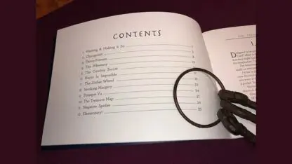 Treacherous Impuzzibilities by Jim Steinmeyer - Book - Image 3