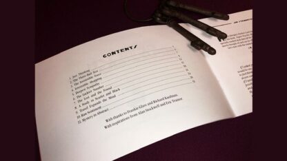 Devilish  Impuzzibilities by Jim Steinmeyer - Book - Image 3