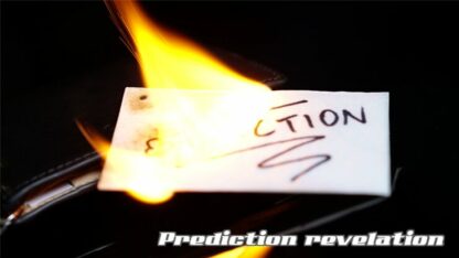 HOT Lite (Gimmick and Online Instructions) by Zamm Wong & Bond Lee - Trick - Image 2