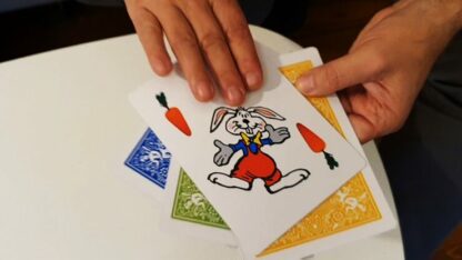 Rabbit On The Rainbow (Gimmicks and Online Instructions) by Juan Pablo Magic - Image 2