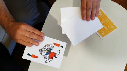 Rabbit On The Rainbow (Gimmicks and Online Instructions) by Juan Pablo Magic - Image 3