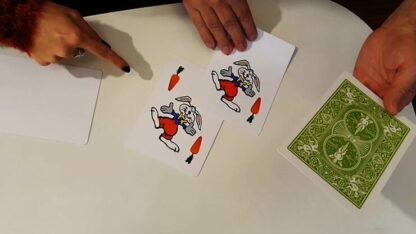 Rabbit On The Rainbow (Gimmicks and Online Instructions) by Juan Pablo Magic - Image 4