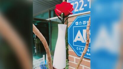 Dream Rose by JL Magic - Trick - Image 3