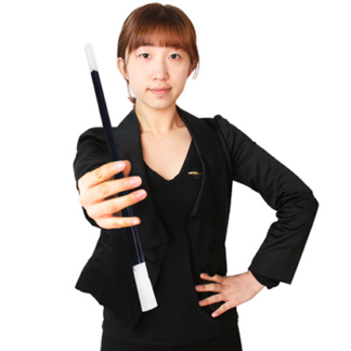 Appearing & Vanishing Wand (Black) by JL Magic - Trick