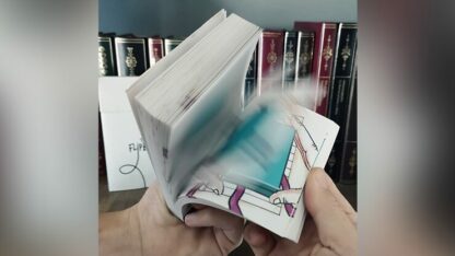 FLIP BOOK (Gimmick and Online Instructions) by JOTA - Trick - Image 5