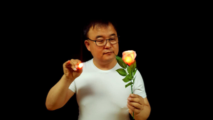 Rose Light set RED by JL Magic - Trick - Image 5