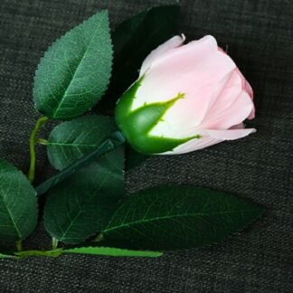 Rose Light set RED by JL Magic - Trick