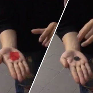 PETAL TO COIN by JL Magic - Trick