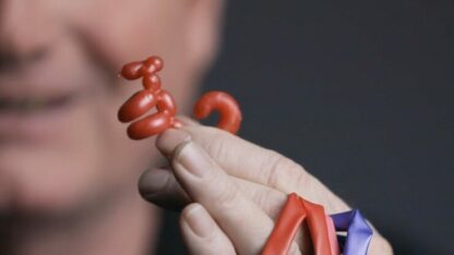 Animinimals (Gimmicks and Online Instructions) by Billy Damon - Trick - Image 3