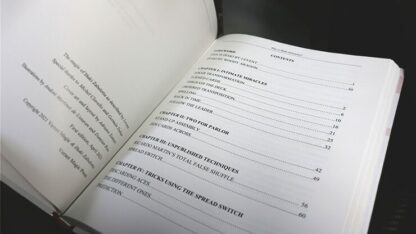 Who is Inaki Zabaletta?  by Vernet Magic - Book - Image 4
