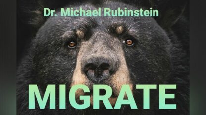 MIGRATE DLX COIN by Dr. Michael Rubinstein - Trick - Image 2