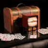CINEMAGIC FLASH (Gimmicks and Online Instructions) by Mago Flash - Trick - Image 2
