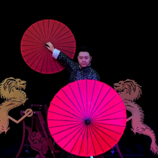 Dragon Parasol Set RED by LY & MS Magic - Trick