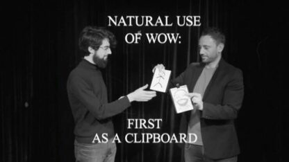PORTRAIT WOW (Gimmick and Online Instructions) by Katsuya Masuda and Roman Garcia - Trick - Image 4