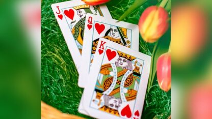 Butterfly Seasons Playing Cards Marked (Spring) by Ondrej Psenicka - Image 4