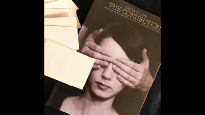 The Connection by Luca Volpe - Book - Image 2