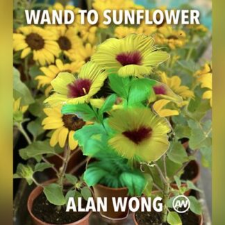 WAND TO SUNFLOWER LARGE by Alan Wong  - Trick