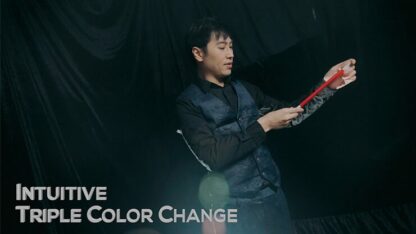 Y WAND by Mr. Y, Bond Lee & MS Magic - Image 4