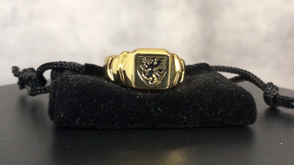 Regal Rings by David Regal - Trick - Image 3