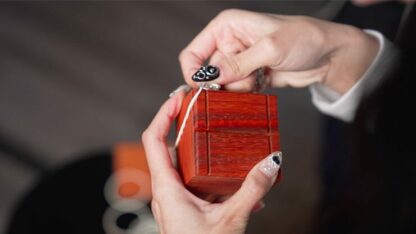 4D BOX (NEST OF BOXES) by Pen, Bond Lee & MS Magic - Trick - Image 5