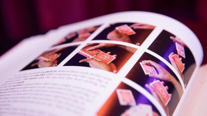 Vallarino by John Lovick and Jean-Pierre Vallarino - Book - Image 5