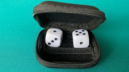 LS Dice by Leo Smetsers - Trick - Image 2