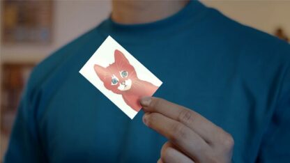 SPIX (Gimmick and Online Instructions) by Les French Twins & Magie-Factory - Trick - Image 3