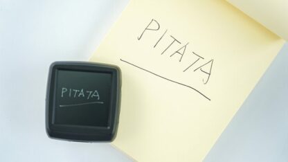 Palm Peeker (Gimmicks and Online Instructions) by PITATA MAGIC - Trick - Image 4